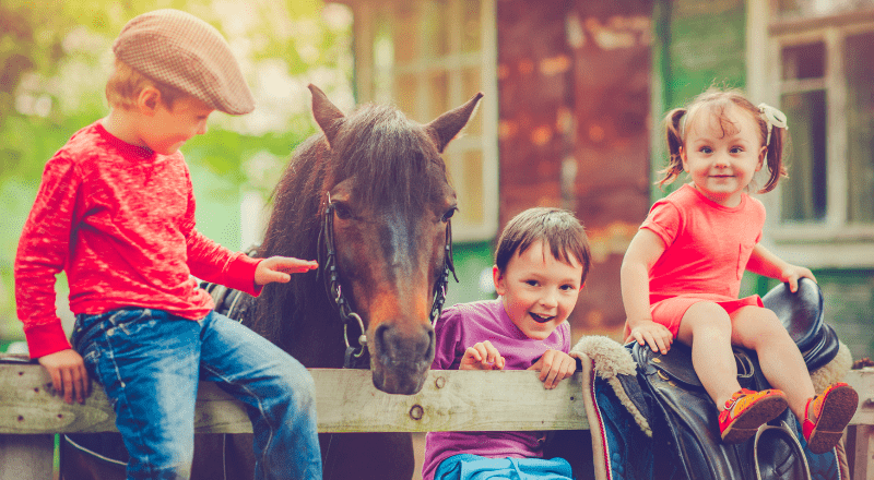 positive wirkung von Pferden auf Kinder